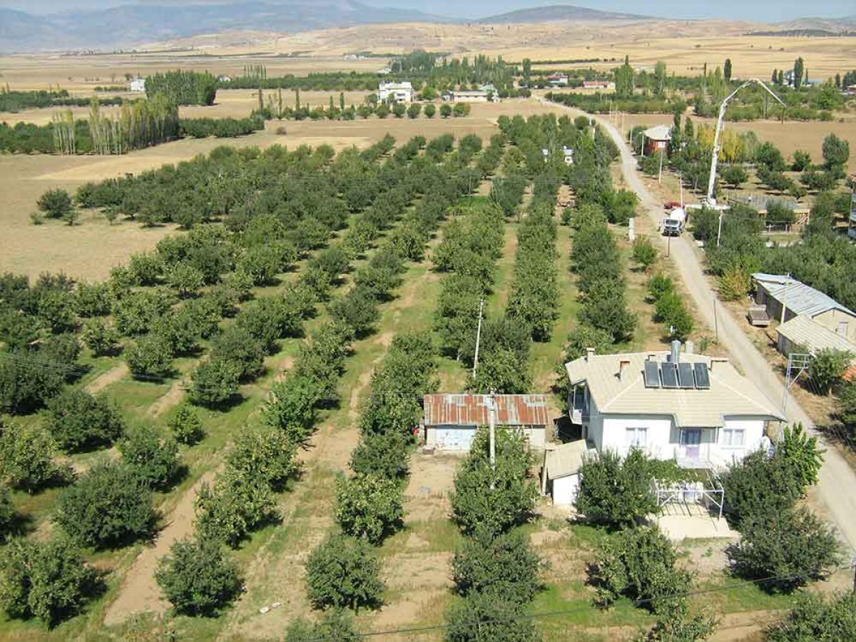 Fotoğraf Albümü, Yalıhüyük Belediye