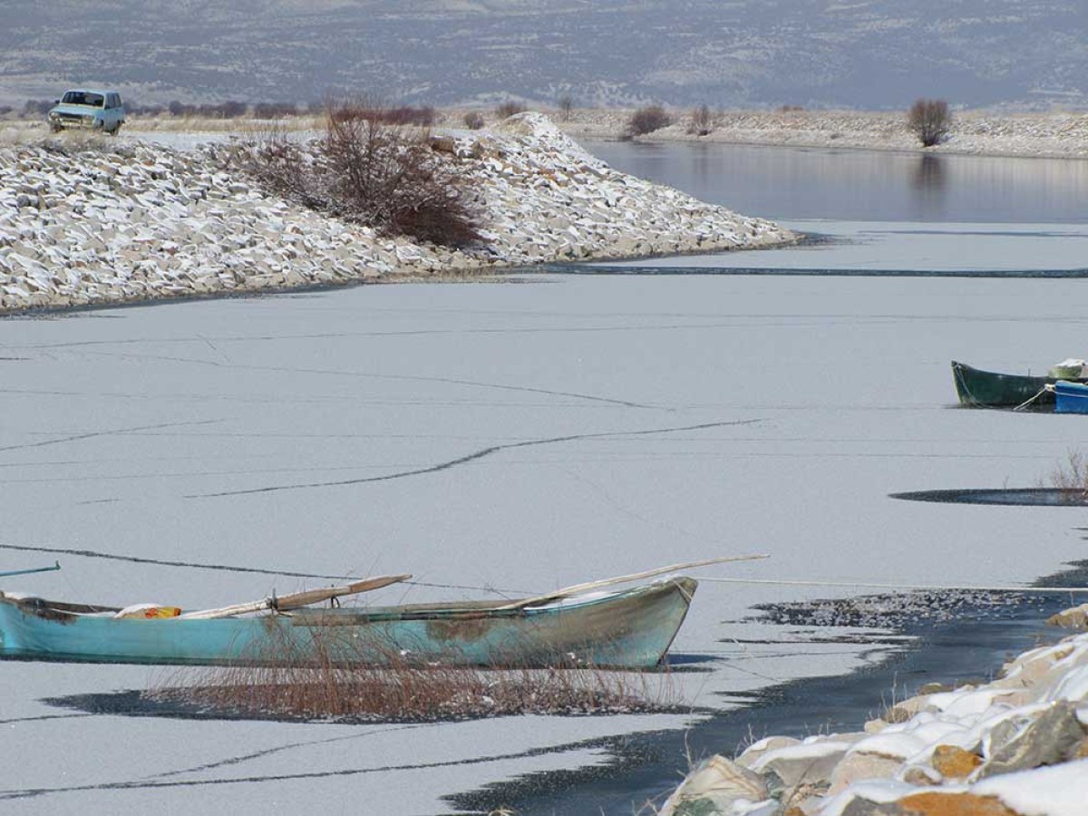 Fotoğraf Albümü, Yalıhüyük Belediye