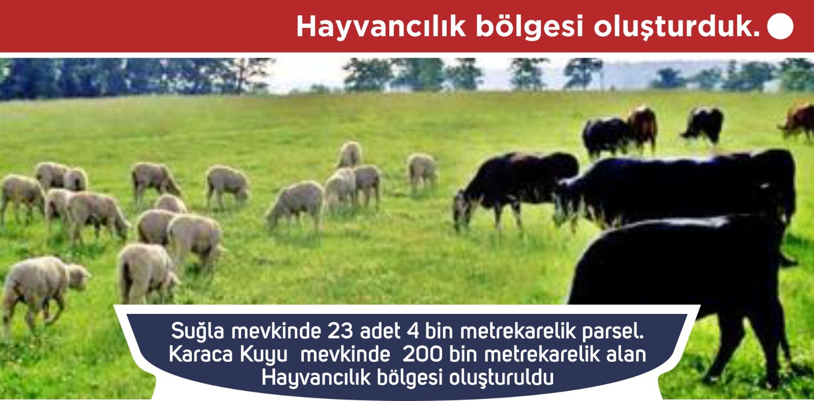 Hayvancılık bölgesi oluşturduk